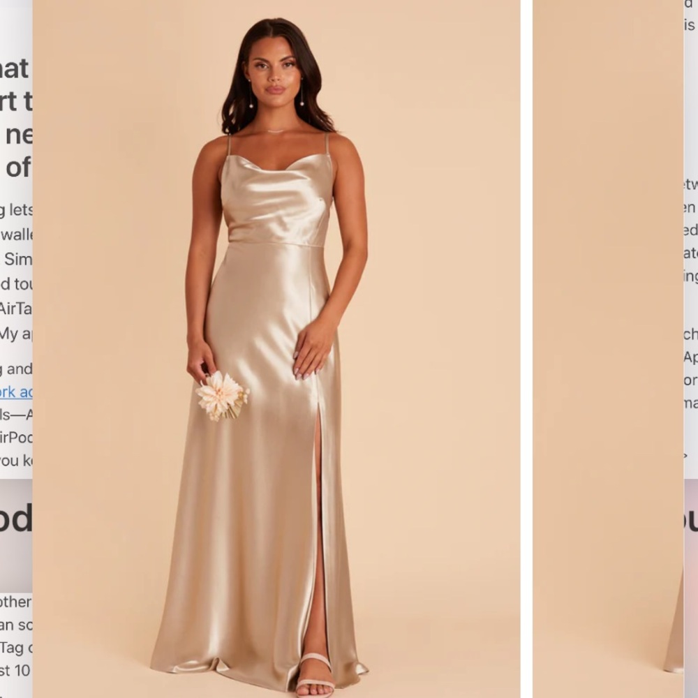 Birdy Grey Lisa Long Bridesmaid Dress in Neutral Champagne Size Large